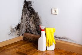 Best Water Damage & Mold Remediation  in Macopin, NJ